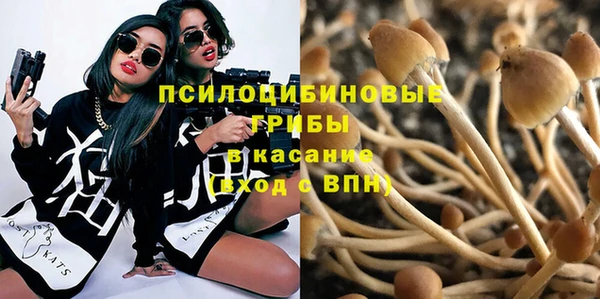 дживик Абинск